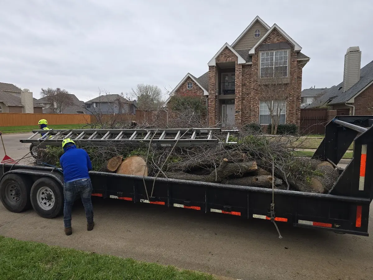 Expert Tree Fertilization with proper safety equipment in Lobeco